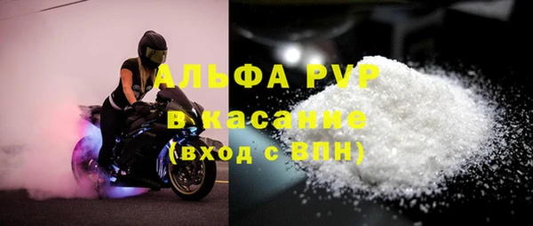 спиды Лиски