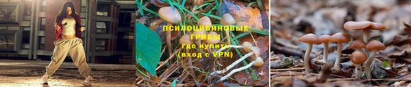 MDMA Premium VHQ Ладушкин