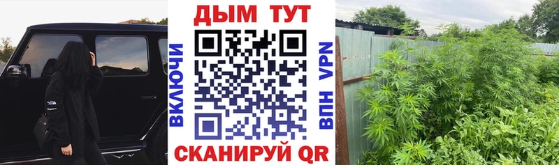 shop Telegram  купить наркотик  Лысково  Шишки марихуана THC 21% 